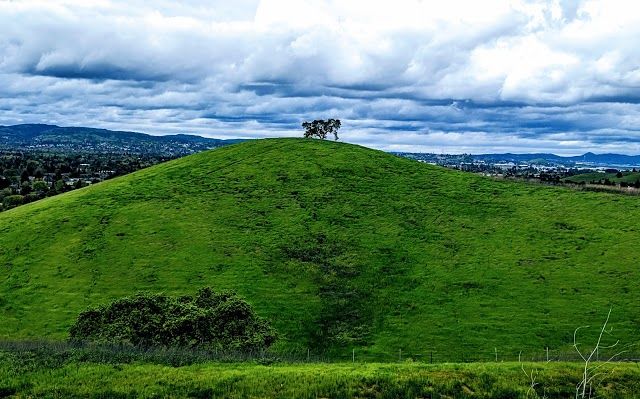 Lime Ridge Open Space